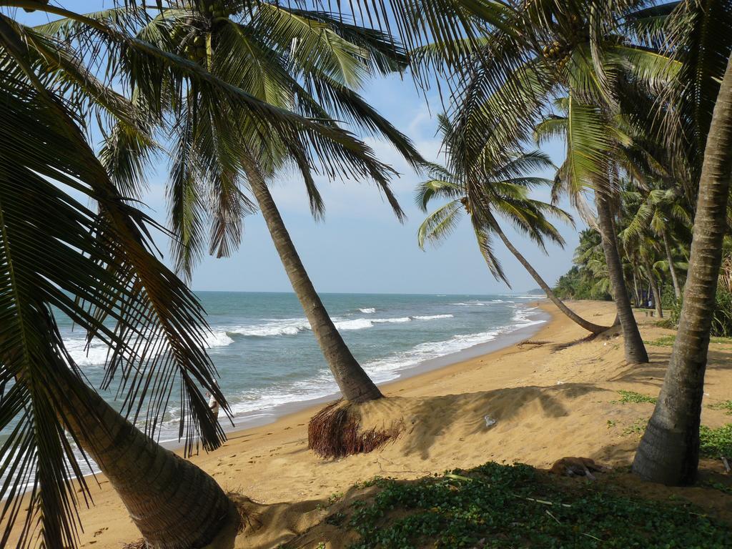 Karl Holiday Bungalow Kalutara Exteriér fotografie