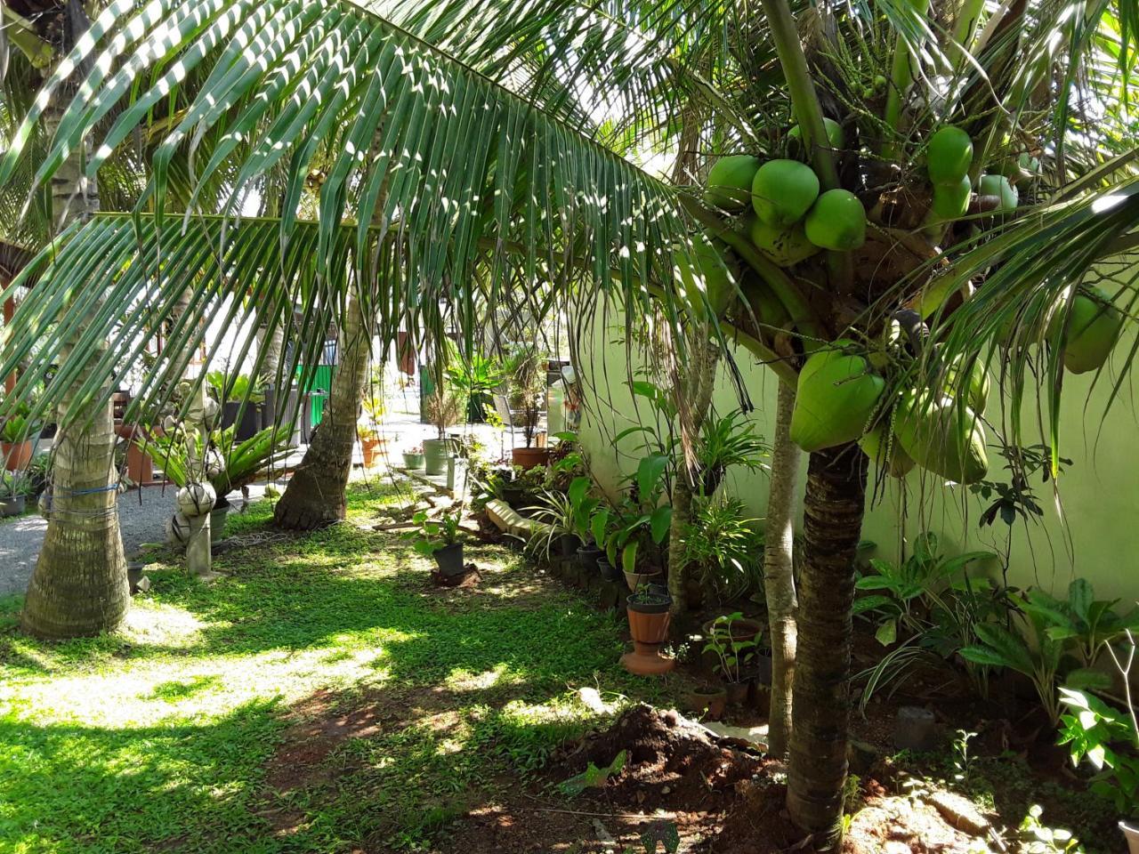 Karl Holiday Bungalow Kalutara Exteriér fotografie